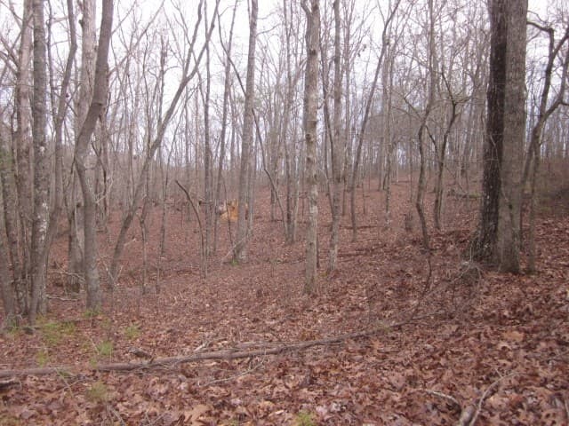 0 Sparks Way, Talking Rock GA 30175 - Photo
