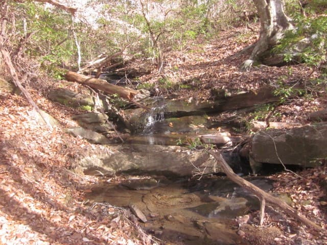 0 Sparks Way, Talking Rock GA 30175 - Photo