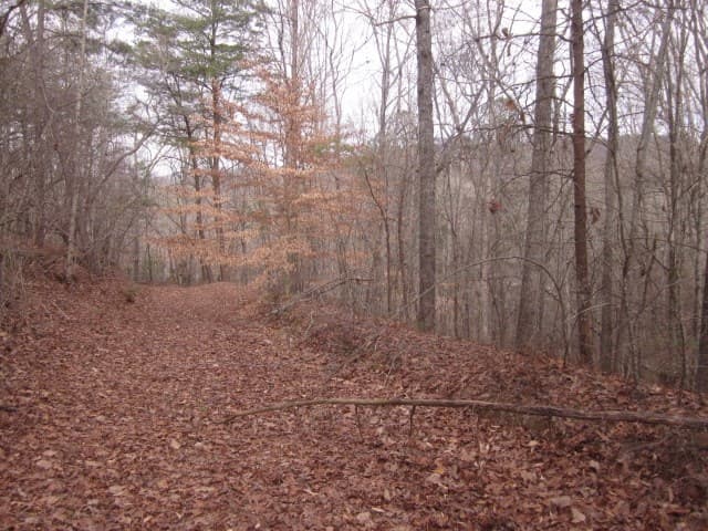 0 Sparks Way, Talking Rock GA 30175 - Photo