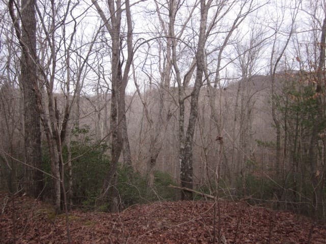 0 Sparks Way, Talking Rock GA 30175 - Photo