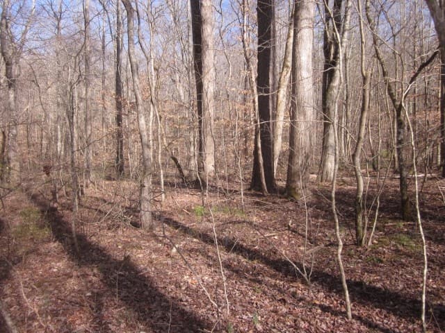 0 Sparks Way, Talking Rock GA 30175 - Photo