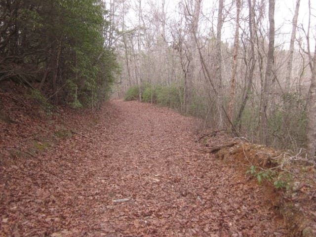 0 Sparks Way, Talking Rock GA 30175 - Photo