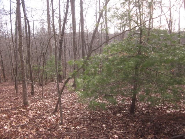 0 Sparks Way, Talking Rock GA 30175 - Photo