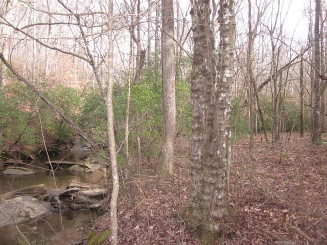 0 Sparks Way, Talking Rock GA 30175 - Photo