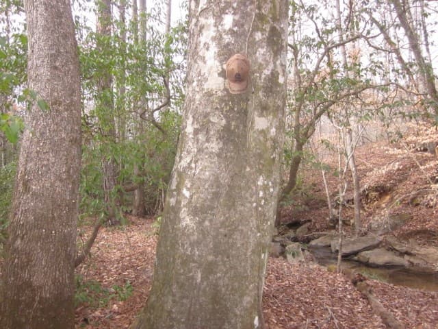 0 Sparks Way, Talking Rock GA 30175 - Photo