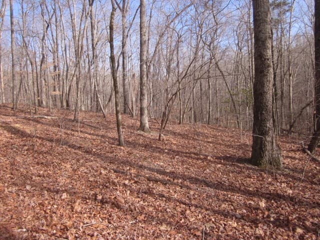 0 Sparks Way, Talking Rock GA 30175 - Photo
