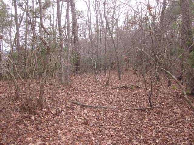 0 Sparks Way, Talking Rock GA 30175 - Photo