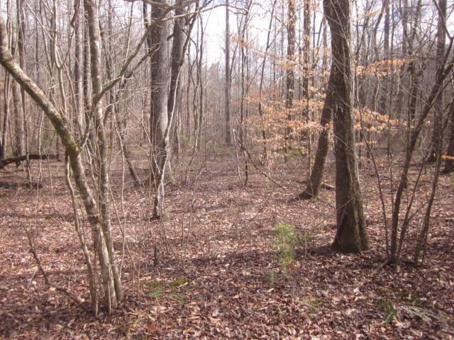 0 Sparks Way, Talking Rock GA 30175 - Photo