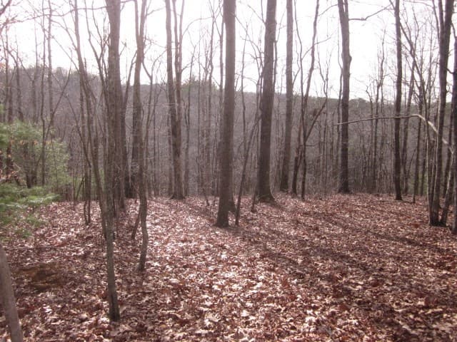 0 Sparks Way, Talking Rock GA 30175 - Photo