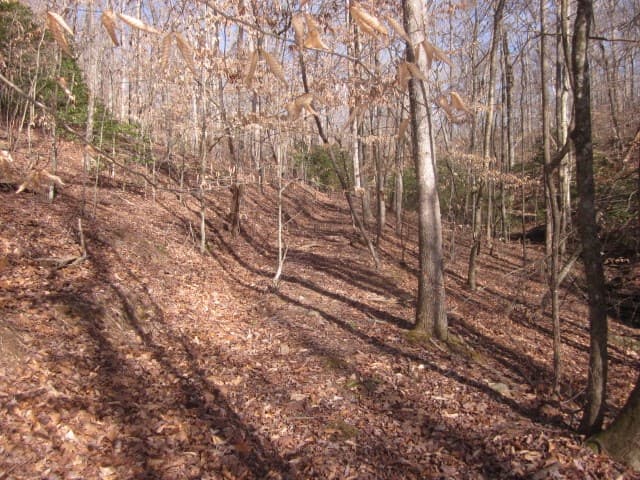 0 Sparks Way, Talking Rock GA 30175 - Photo