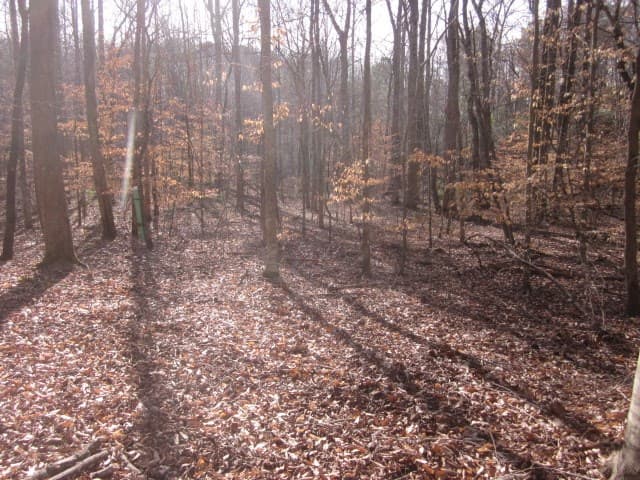 0 Sparks Way, Talking Rock GA 30175 - Photo