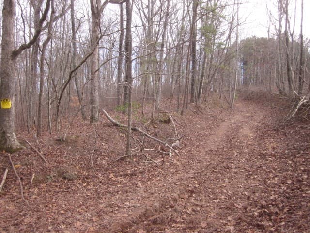 0 Sparks Way, Talking Rock GA 30175 - Photo