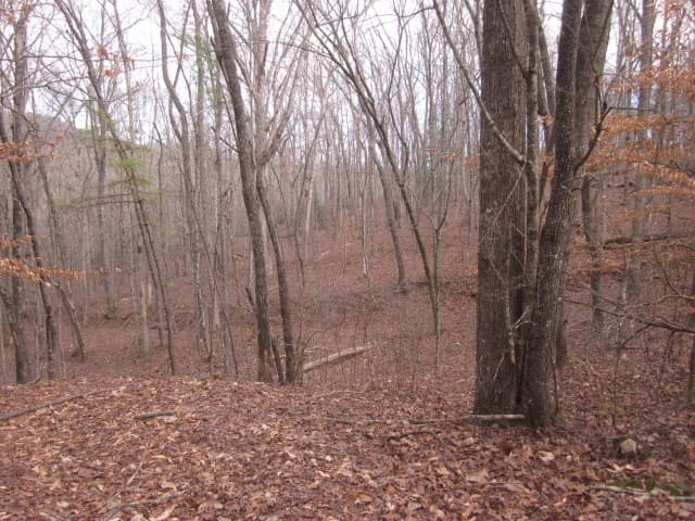0 Sparks Way, Talking Rock GA 30175 - Photo