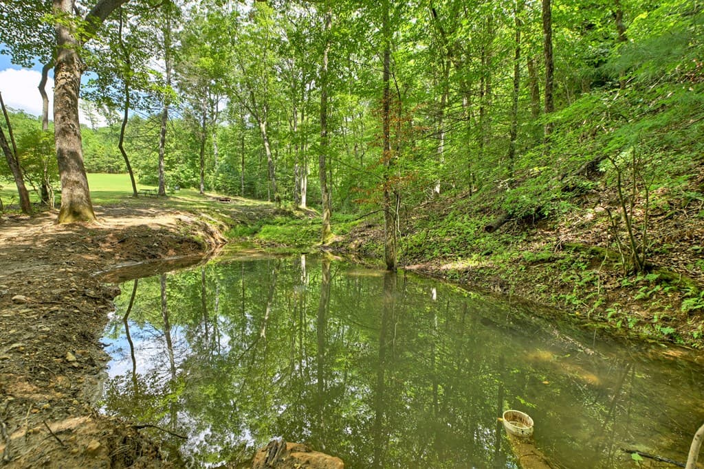 785 Wehunt Road, Blue Ridge GA 30513 - Photo
