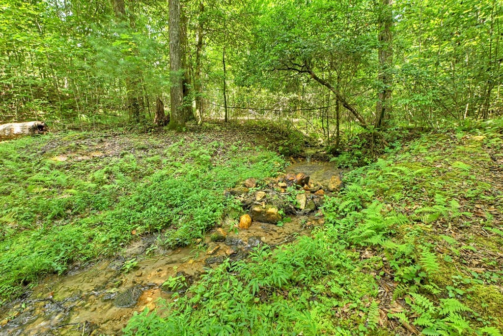 785 Wehunt Road, Blue Ridge GA 30513 - Photo