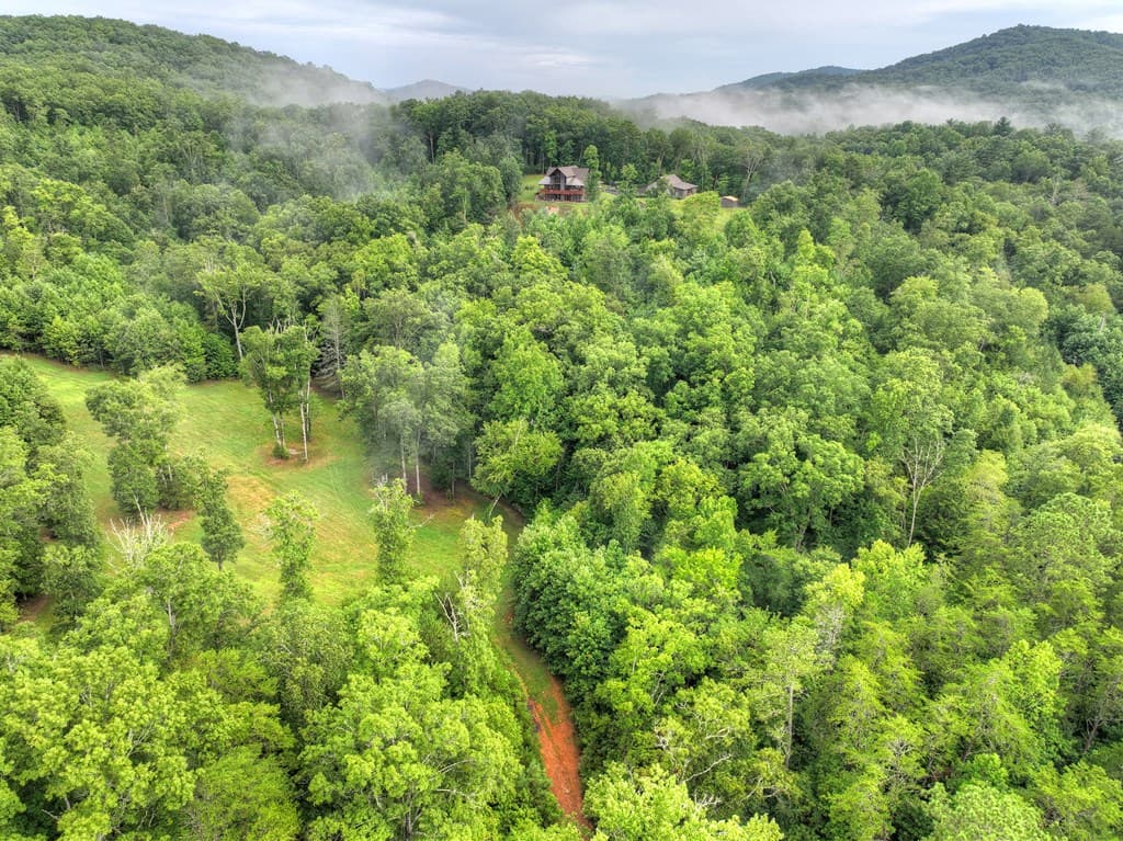 785 Wehunt Road, Blue Ridge GA 30513 - Photo
