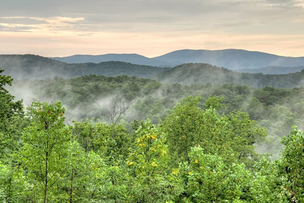 785 Wehunt Road, Blue Ridge GA 30513 - Photo