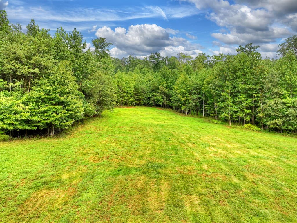 785 Wehunt Road, Blue Ridge GA 30513 - Photo