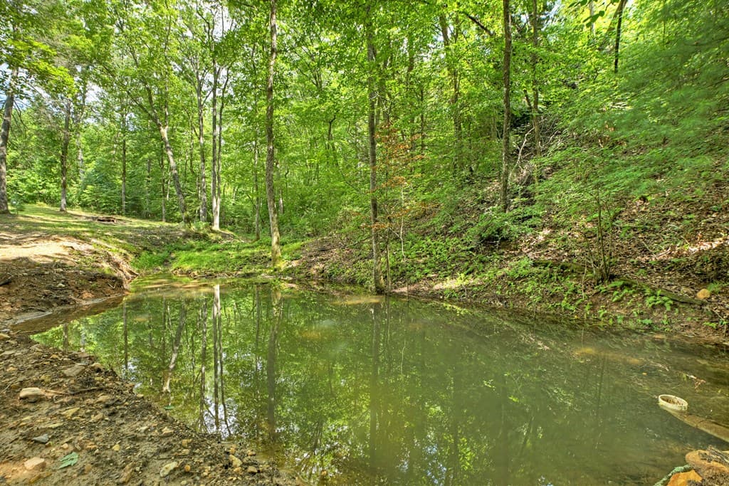 785 Wehunt Road, Blue Ridge GA 30513 - Photo
