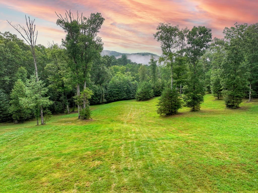 785 Wehunt Road, Blue Ridge GA 30513 - Photo