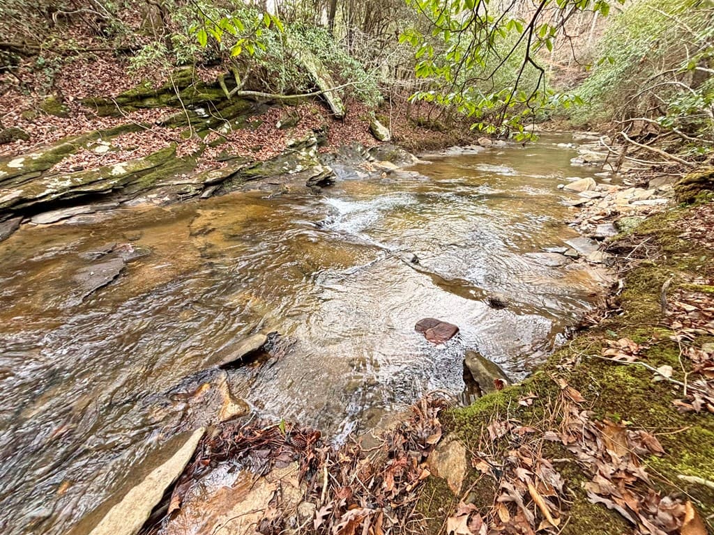 5AC Lovejoy Lane, Talking Rock GA 30175 - Photo