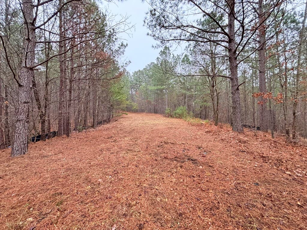 5AC Lovejoy Lane, Talking Rock GA 30175 - Photo