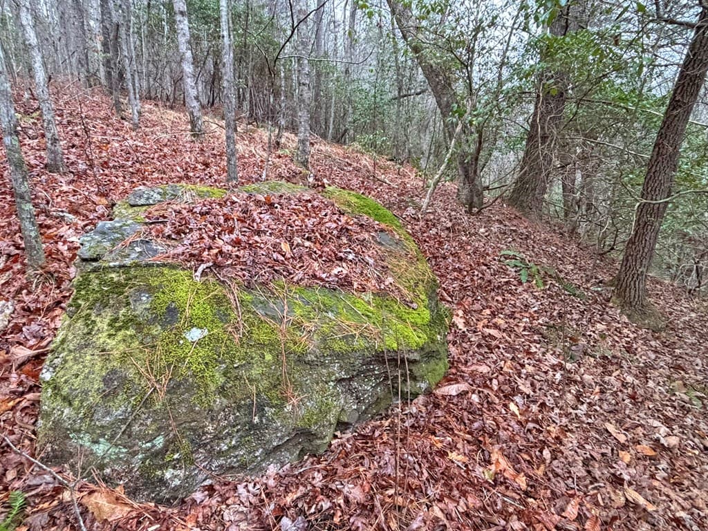 5AC Lovejoy Lane, Talking Rock GA 30175 - Photo