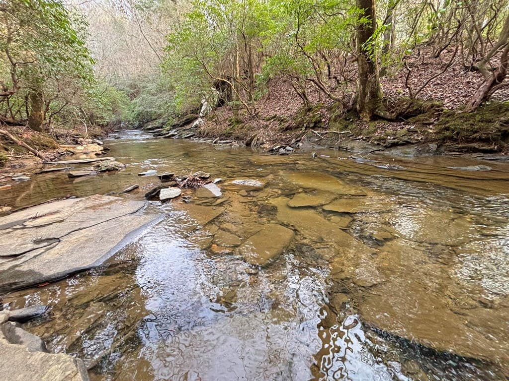 5AC Lovejoy Lane, Talking Rock GA 30175 - Photo