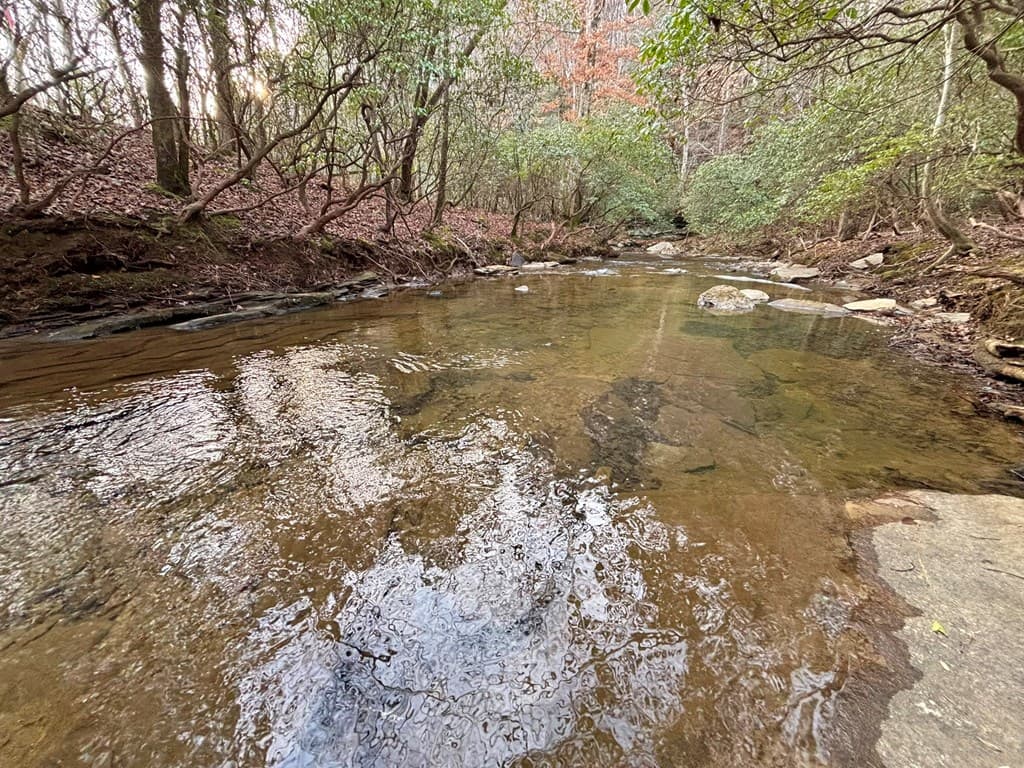 5AC Lovejoy Lane, Talking Rock GA 30175 - Photo