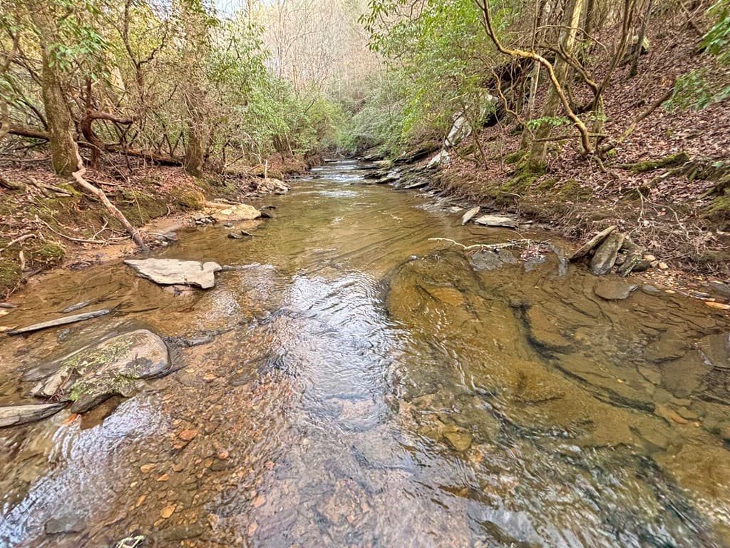 5AC Lovejoy Lane, Talking Rock GA 30175 - Photo