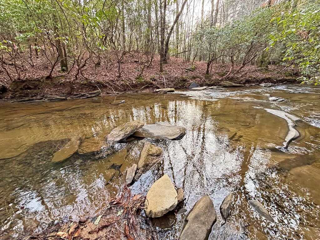 5AC Lovejoy Lane, Talking Rock GA 30175 - Photo
