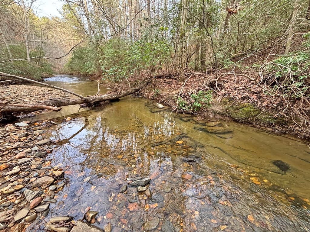 5AC Lovejoy Lane, Talking Rock GA 30175 - Photo