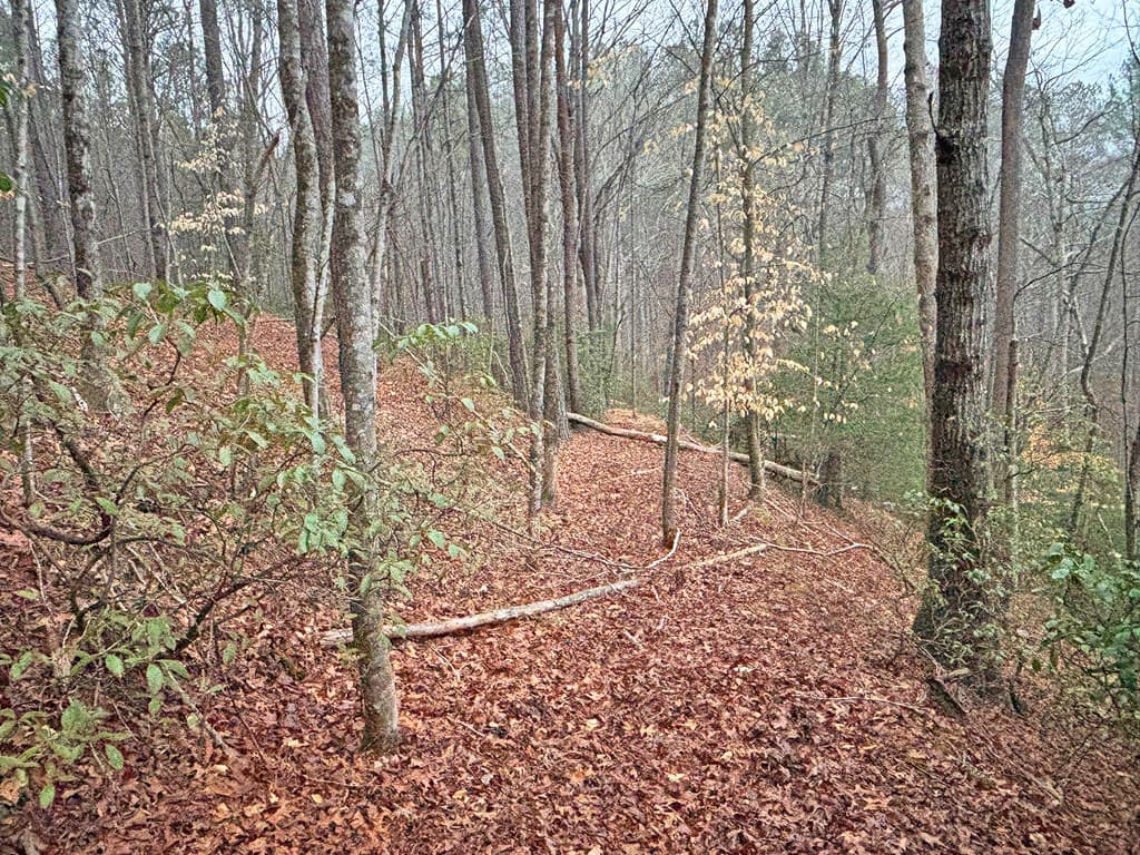 5AC Lovejoy Lane, Talking Rock GA 30175 - Photo
