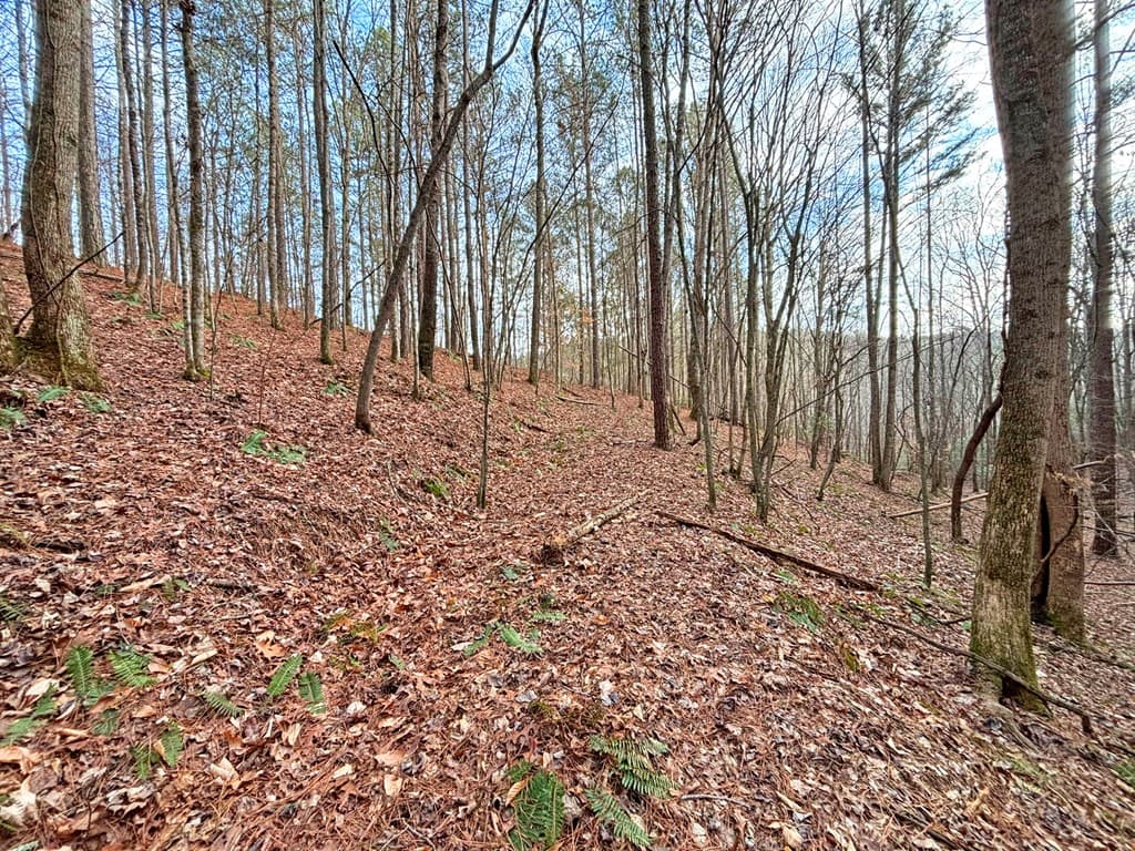 5AC Lovejoy Lane, Talking Rock GA 30175 - Photo