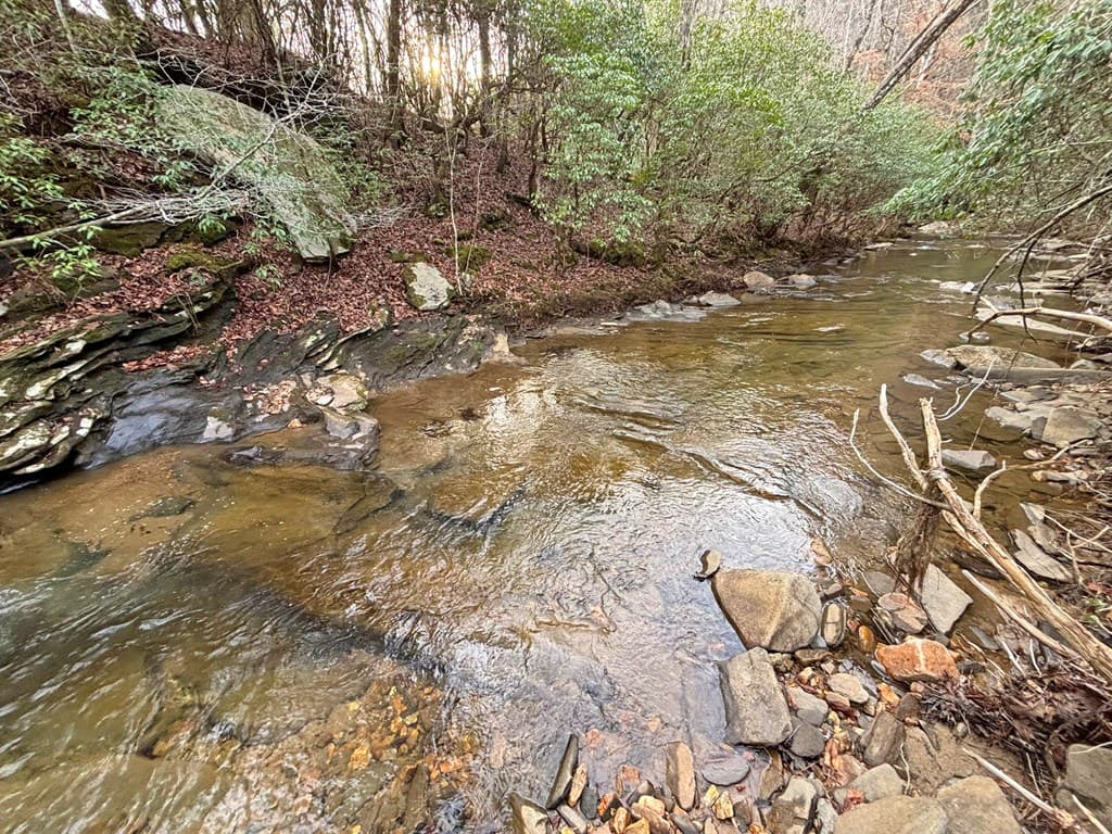 5AC Lovejoy Lane, Talking Rock GA 30175 - Photo