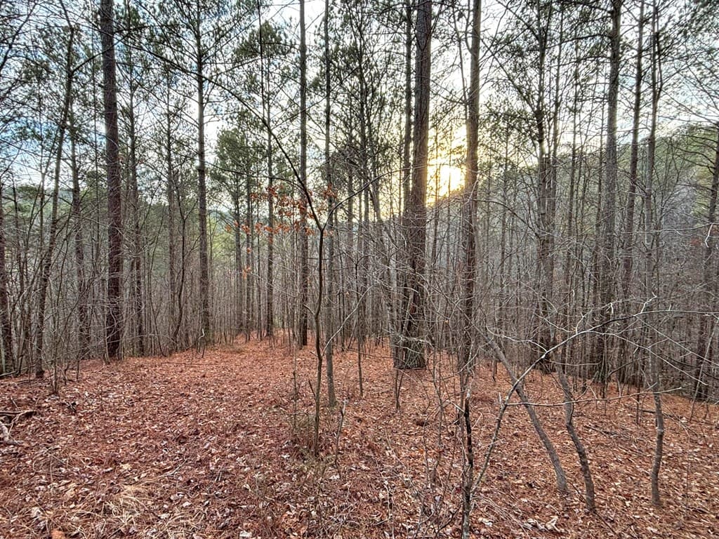 5AC Lovejoy Lane, Talking Rock GA 30175 - Photo