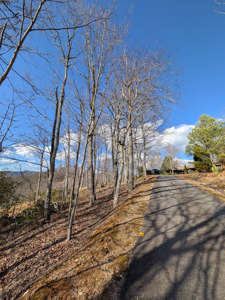 L-16&17 Summit Drive, Hayesville NC 28904 - Photo