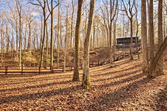 346 Rusty Lady Lane, Ellijay GA 30536 - Photo