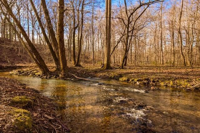 346 Rusty Lady Lane, Ellijay GA 30536 - Photo