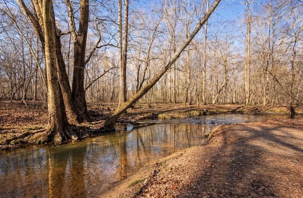 346 Rusty Lady Lane, Ellijay GA 30536 - Photo