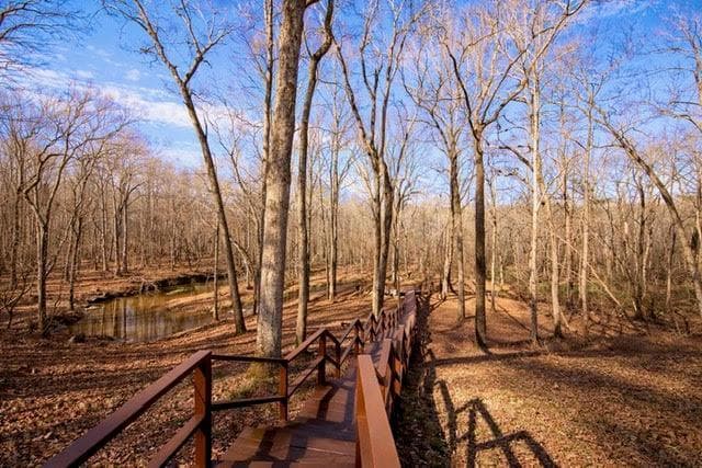 346 Rusty Lady Lane, Ellijay GA 30536 - Photo