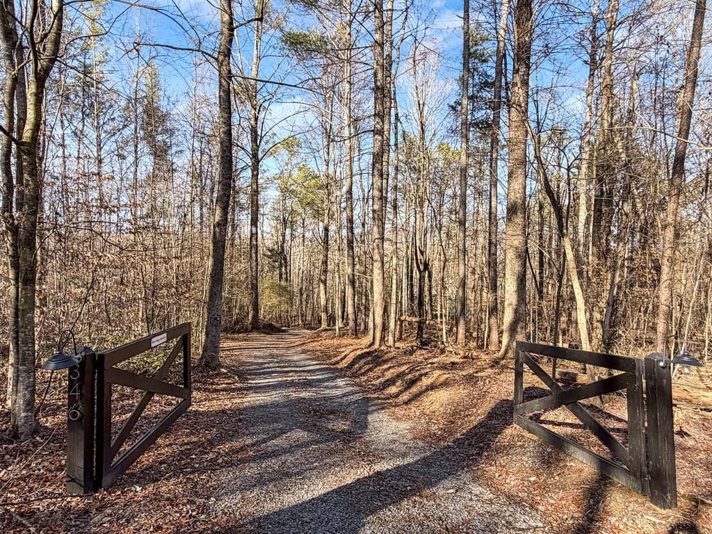 346 Rusty Lady Lane, Ellijay GA 30536 - Photo