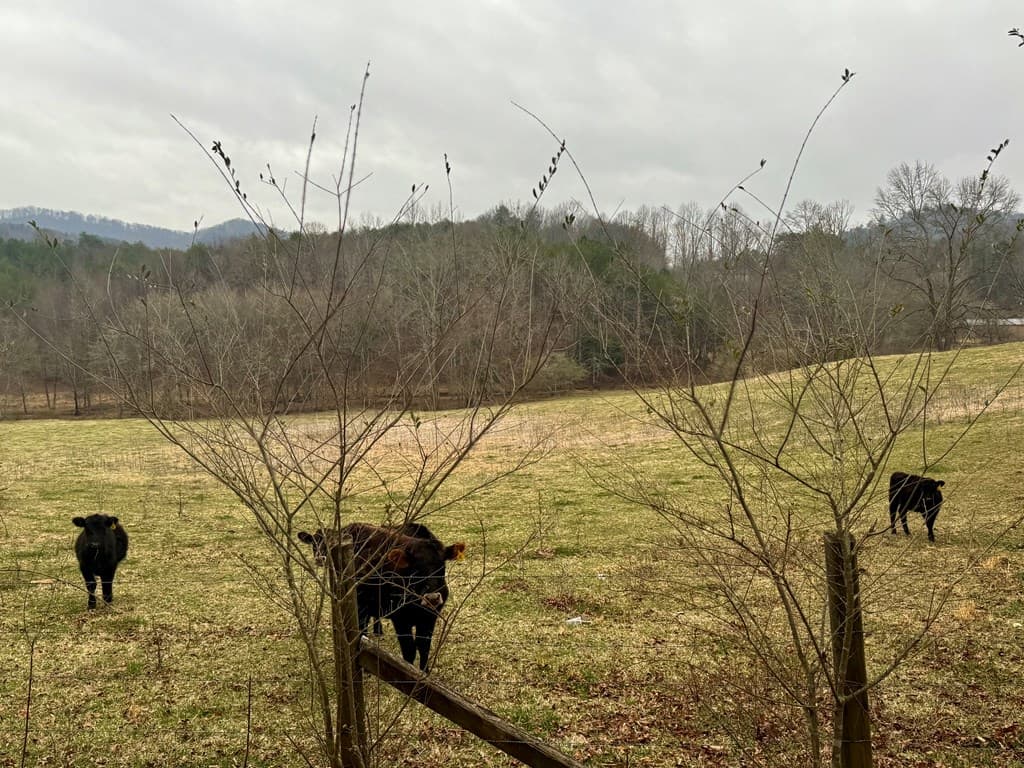 0 Hwy 68, Turtletown TN 37391 - Photo