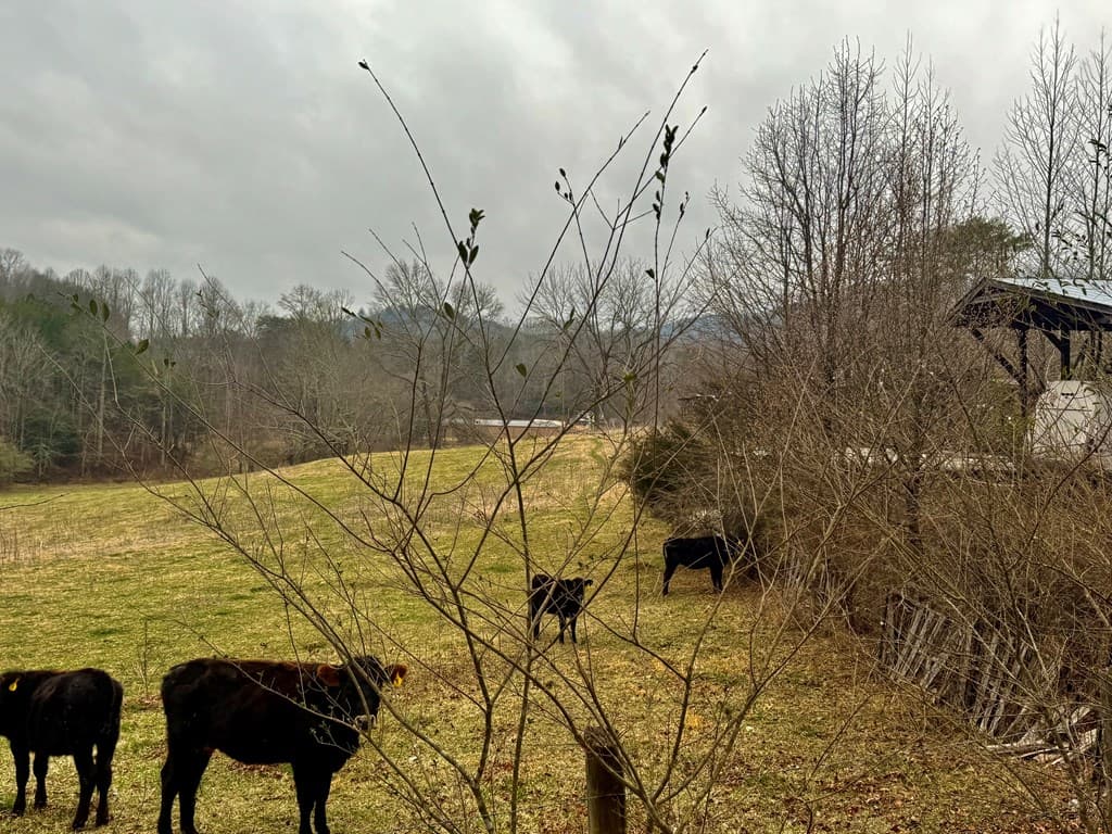 0 Hwy 68, Turtletown TN 37391 - Photo