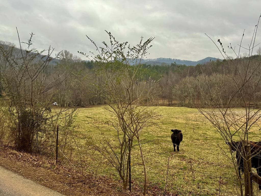 0 Hwy 68, Turtletown TN 37391 - Primary photo