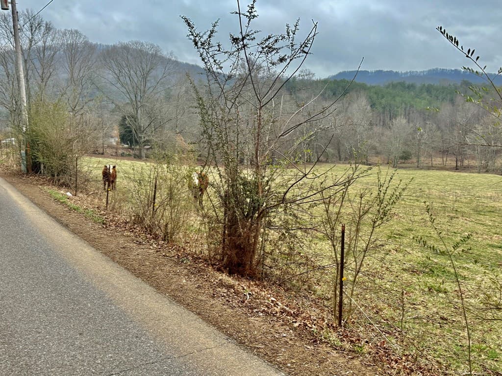 0 Hwy 68, Turtletown TN 37391 - Photo