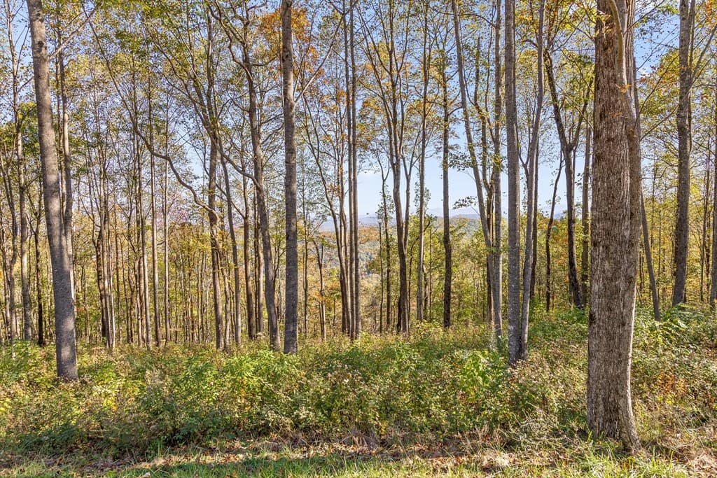 Lot 375 Calloway Mountain Road, Talking Rock GA 30175 - Photo