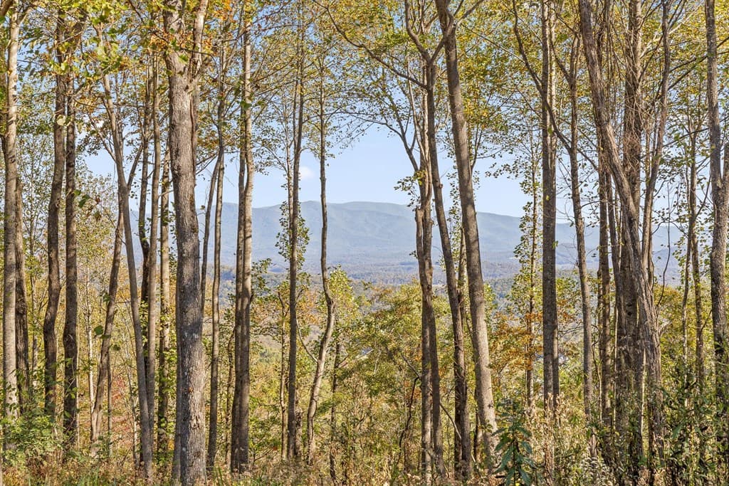 Lot 375 Calloway Mountain Road, Talking Rock GA 30175 - Photo