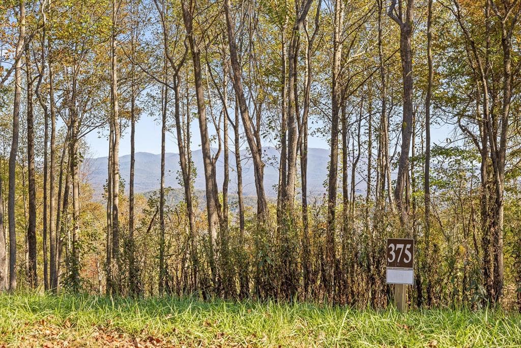 Lot 375 Calloway Mountain Road, Talking Rock GA 30175 - Primary photo