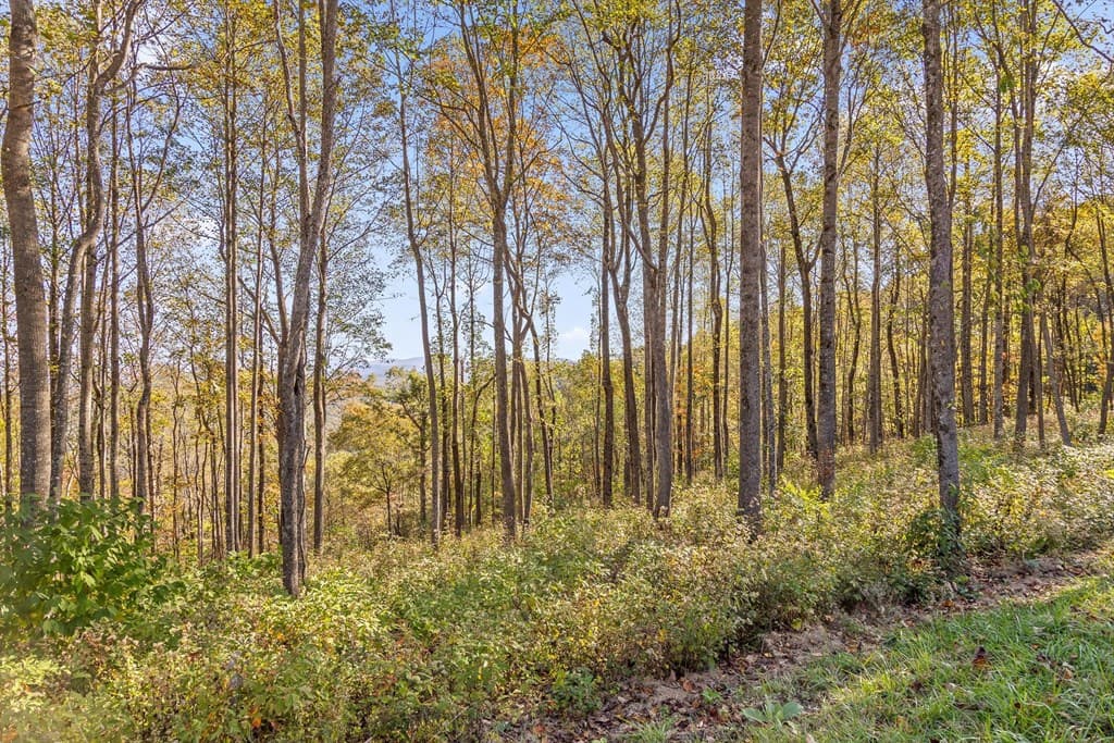 Lot 375 Calloway Mountain Road, Talking Rock GA 30175 - Photo